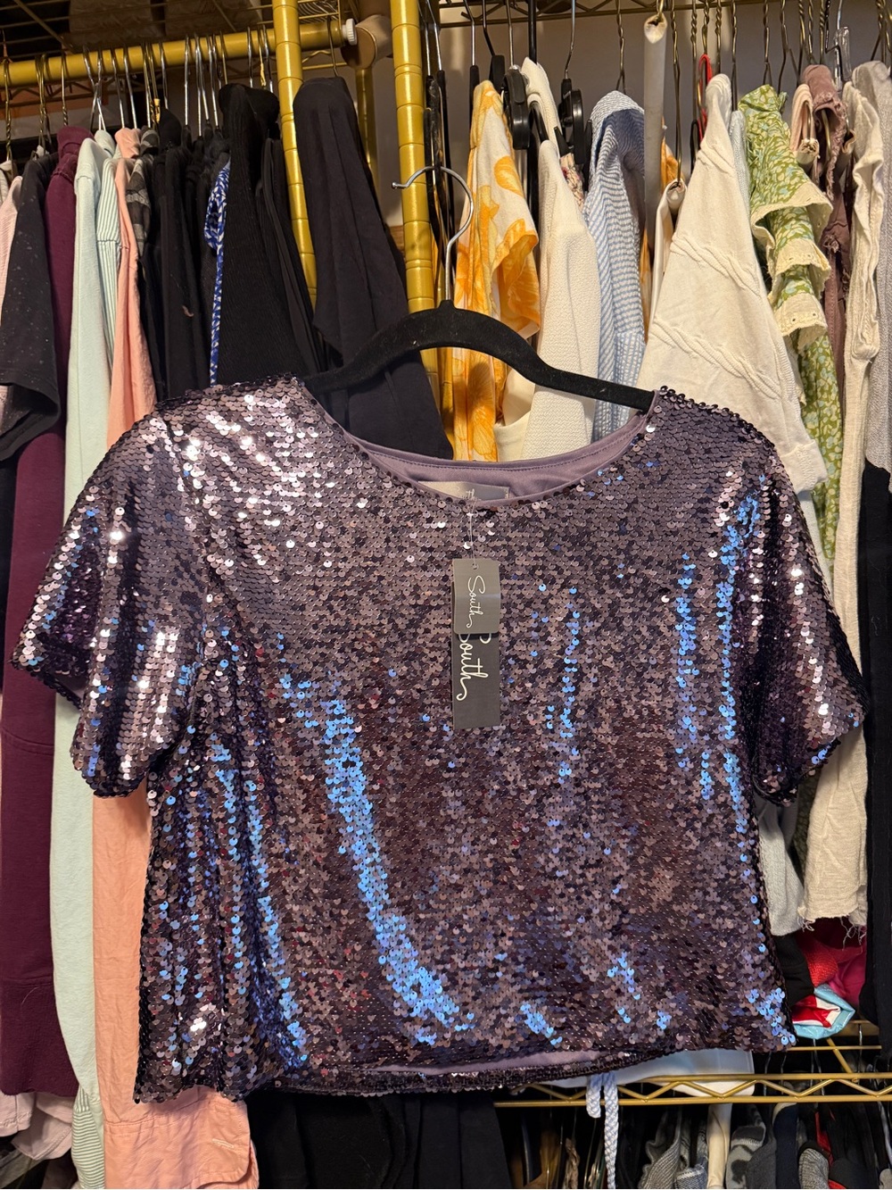Saylor Purple Sequin Short Sleeve Crop Top